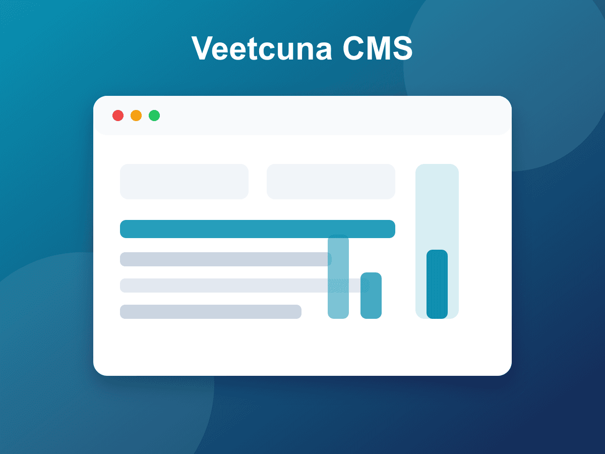 Vista de gestión de personas y organización de Veetcuna HR